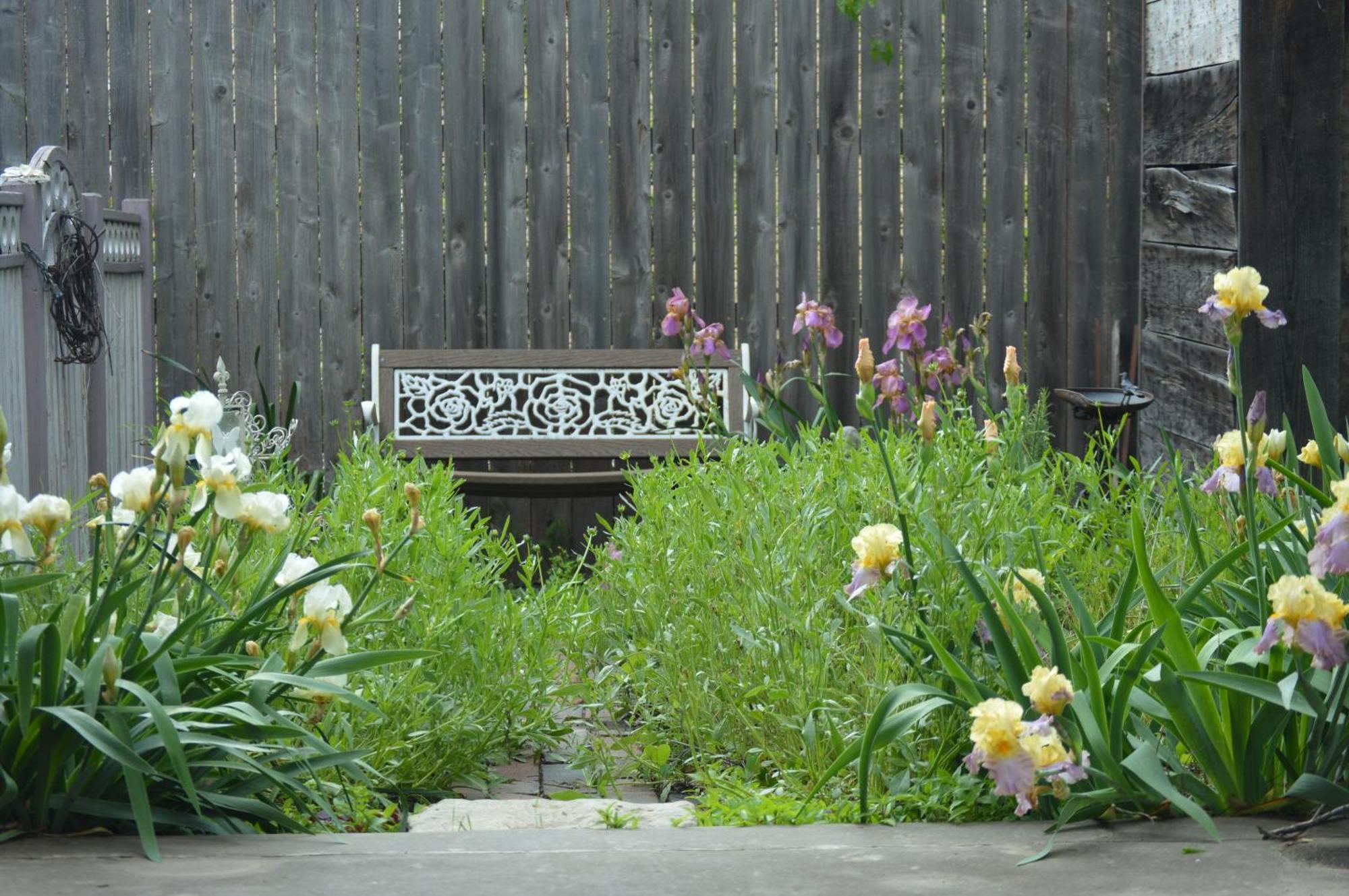 Carleton House Bed And Breakfast Bonham Εξωτερικό φωτογραφία