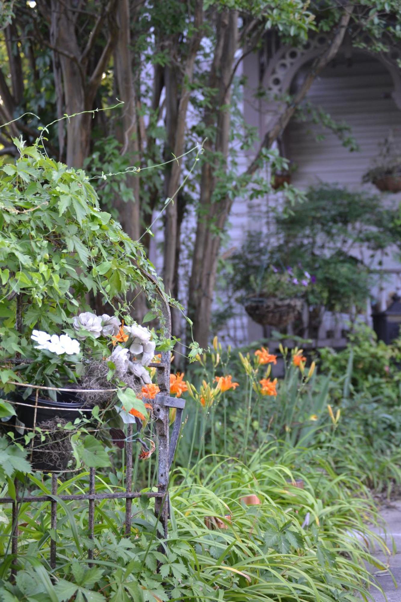 Carleton House Bed And Breakfast Bonham Εξωτερικό φωτογραφία