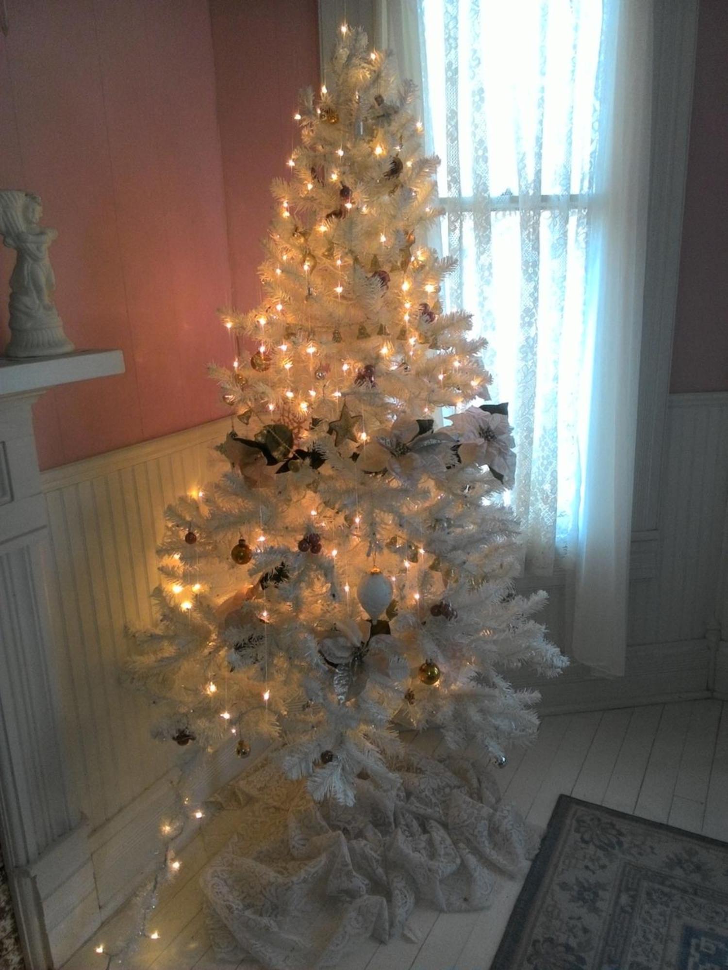 Carleton House Bed And Breakfast Bonham Εξωτερικό φωτογραφία
